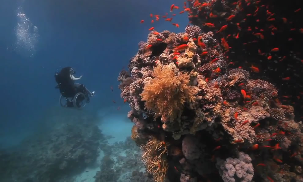 1 Artist-Sue-Austin-flies-through-the-water-in-a-self-propelled-underwater-wheelchair