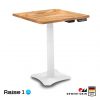 Raise1 Ergo Desk สั่งตัด ไม้แท้ | โต๊ะทำงานปรับไฟฟ้าเพื่อสุขภาพขาเดียว | RealWood - Image 2