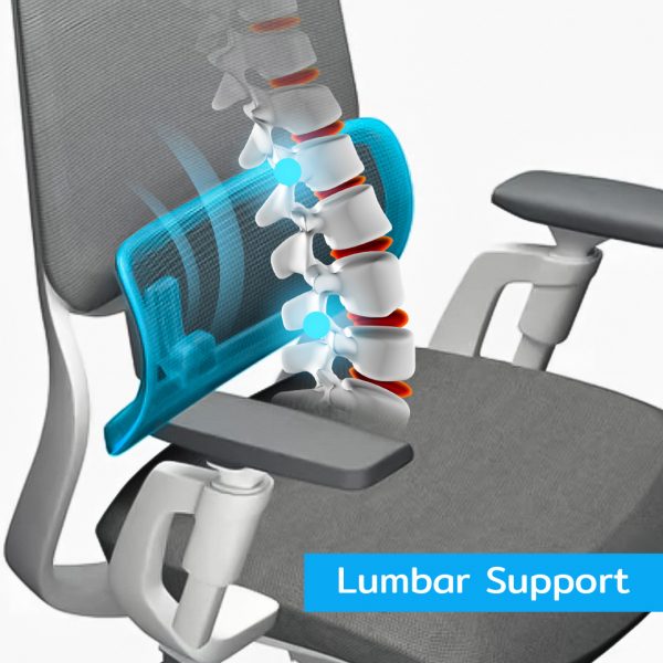 Ultra5 Ergo Chair เก้าอี้สุขภาพ ปรับได้ 5ฟังก์ชั่น - Image 13