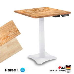 Raise1 Ergo Desk สั่งตัด ไม้แท้ | โต๊ะทำงานปรับไฟฟ้าเพื่อสุขภาพขาเดียว | RealWood