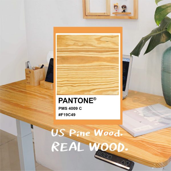 Raise3 Ergo Desk สั่งตัด ไม้แท้ | โต๊ะทำงานปรับไฟฟ้าเพื่อสุขภาพ | RealWood - Image 3