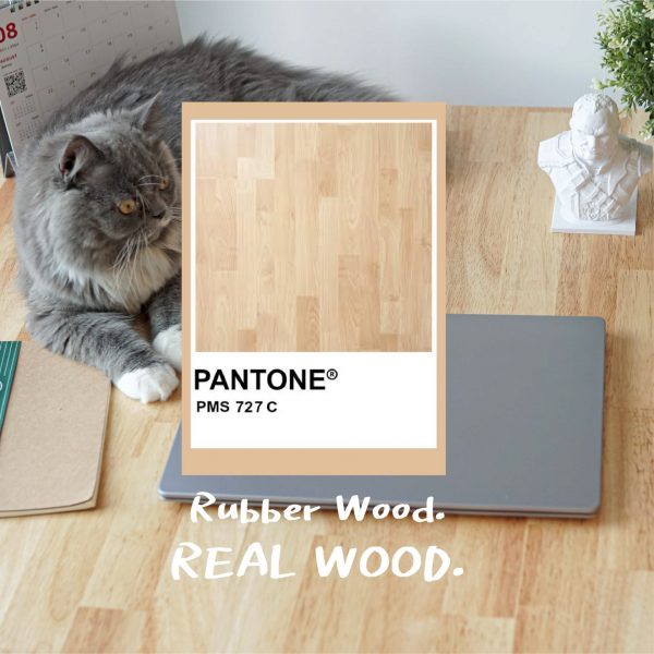 Raise3 Ergo Desk สั่งตัด ไม้แท้ | โต๊ะทำงานปรับไฟฟ้าเพื่อสุขภาพ | RealWood - Image 2