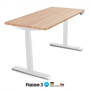 Raise3 Ergo Desk สั่งตัด ไม้แท้ | โต๊ะทำงานปรับไฟฟ้าเพื่อสุขภาพ | RealWood