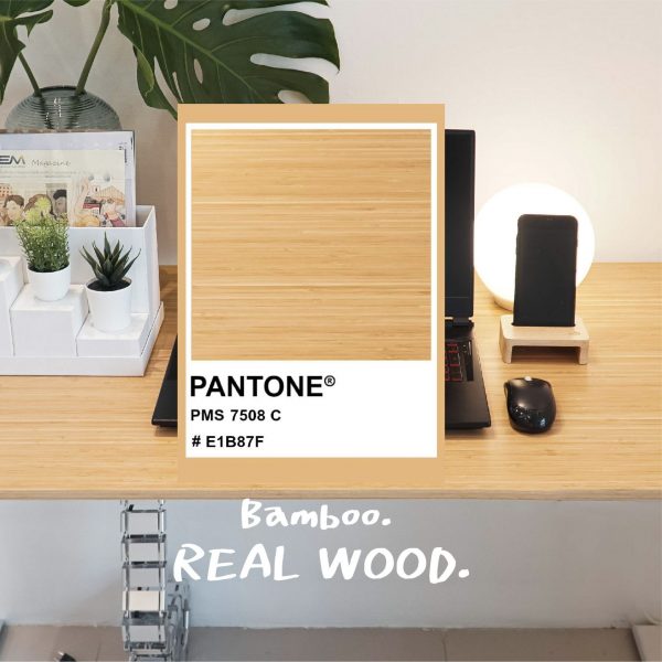 Raise3 Ergo Desk สั่งตัด ไม้แท้ | โต๊ะทำงานปรับไฟฟ้าเพื่อสุขภาพ | RealWood - Image 4