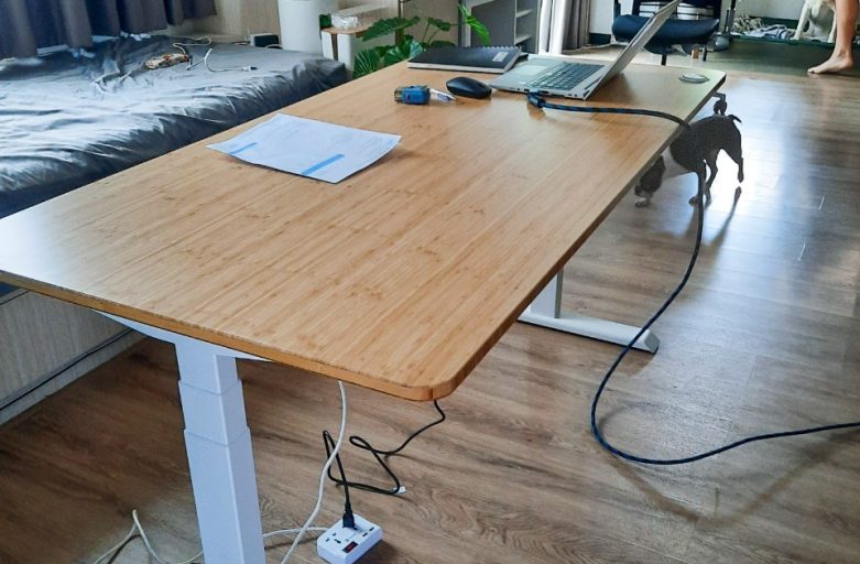 Ergodesk คุณวิสันต์ โต๊ะปรับระดับไฟฟ้า Adjustable Desk Raise3