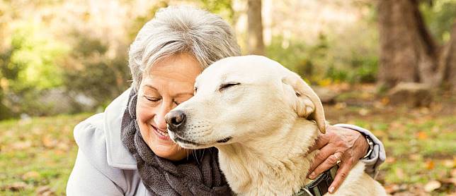 Animal Assisted Therapy สัตว์บำบัดเพื่อผู้สูงอายุ