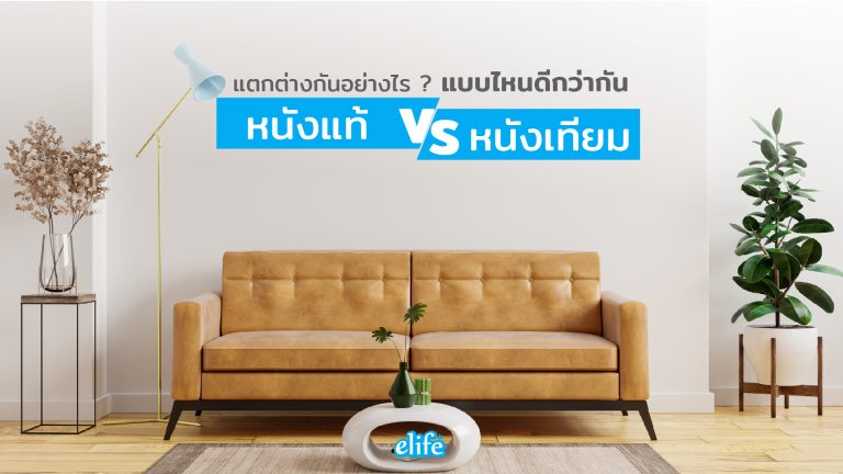 Read more about the article หนังแท้ กับ หนังเทียม แตกต่างกันอย่างไร ? แบบไหนดีกว่ากัน