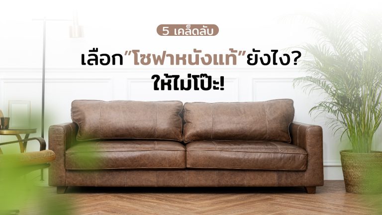 Read more about the article 5 เคล็ดลับเลือกโซฟาหนังแท้ยังไง…ให้ไม่โป๊ะ!