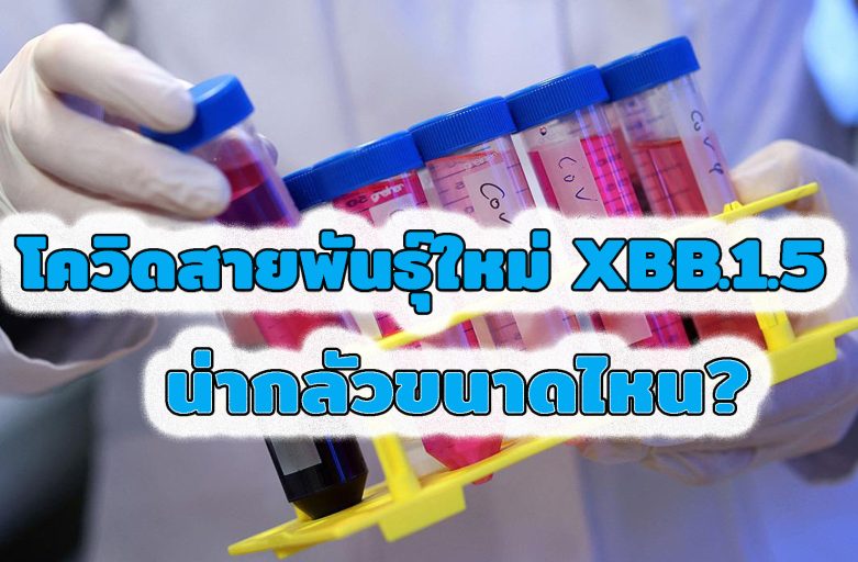 โควิดสายพันธุ์ใหม่ XBB.1.5 น่ากลัวขนาดไหน?