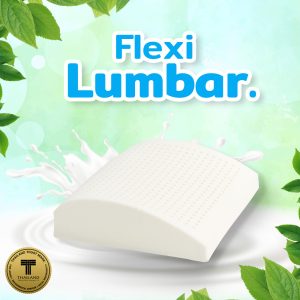 Flexi Lumbar เบาะรองหลังยางพาราเพื่อสุขภาพ
