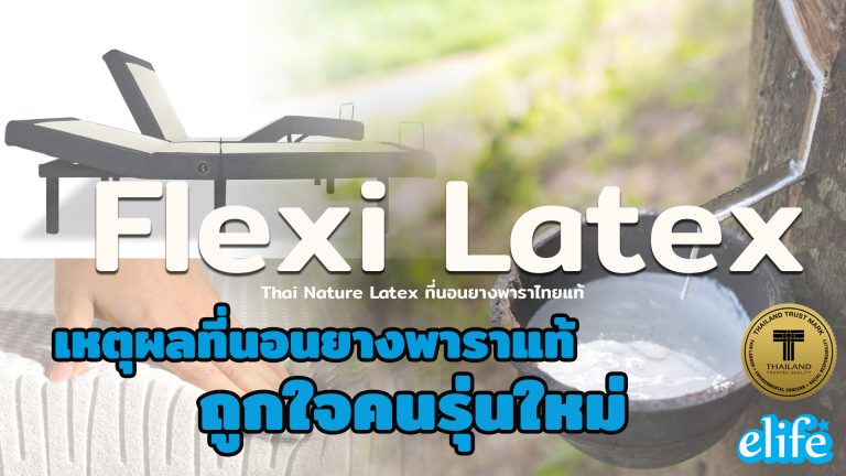 Read more about the article เหตุผลที่นอนยางพาราแท้ ถูกใจคนรุ่นใหม่ เพราะอะไรกันนะ