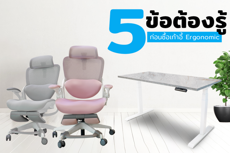 Read more about the article 5 ข้อต้องรู้ก่อนซื้อเก้าอี้ Ergonomic