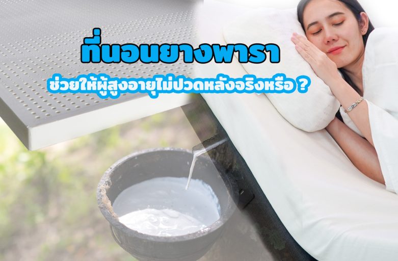 ที่นอนยางพาราช่วยเรื่องปวดหลังของผู้สูงอายุได้จริงหรือไม่ ?