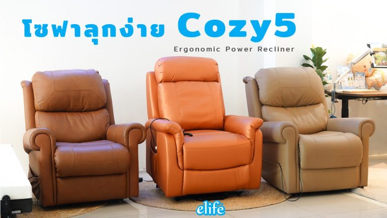 Read more about the article โซฟาลุกง่าย Cozy5