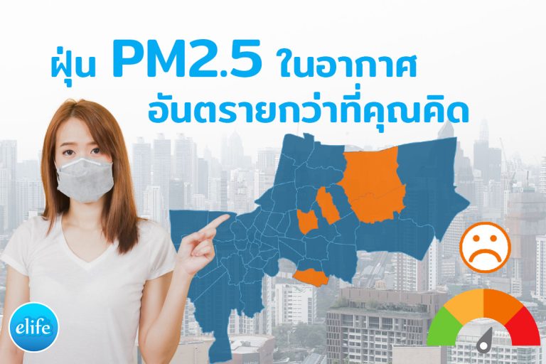Read more about the article ฝุ่นPM2.5ในอากาศ อันตรายกว่าที่คุณคิด